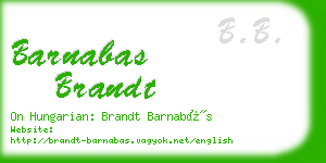 barnabas brandt business card